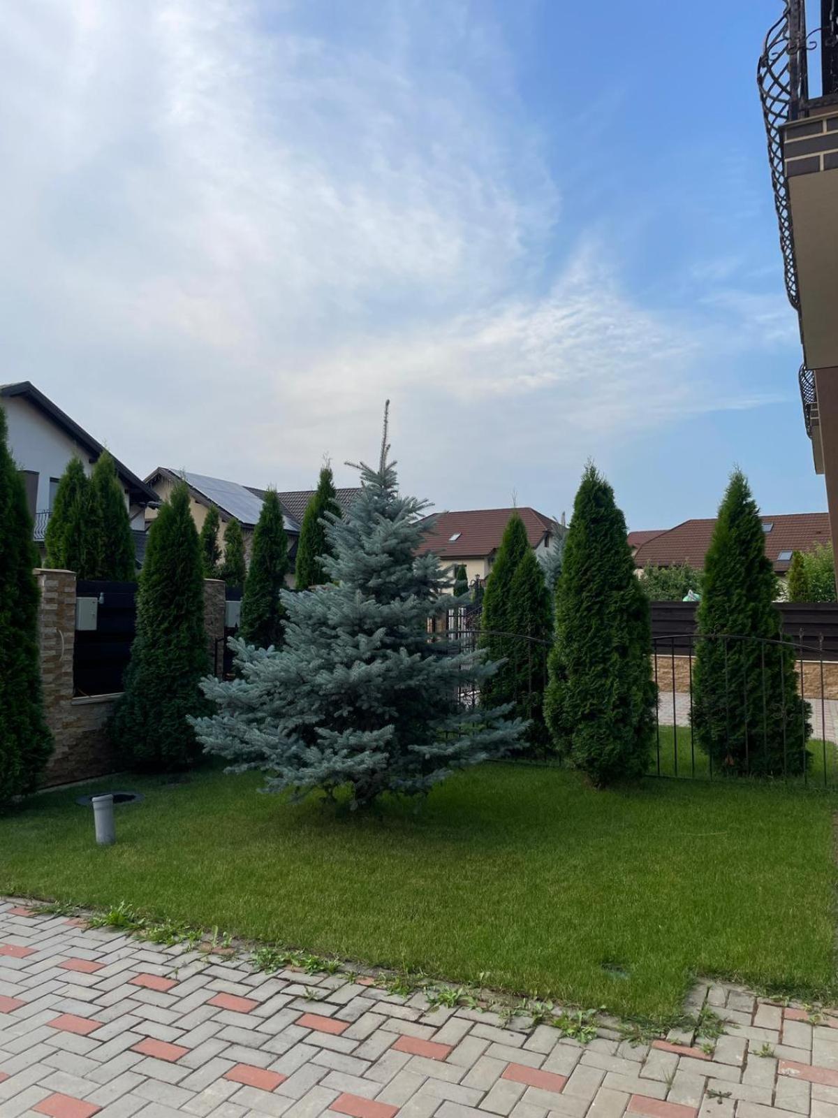 Vila Pati Ploiesti Bagian luar foto